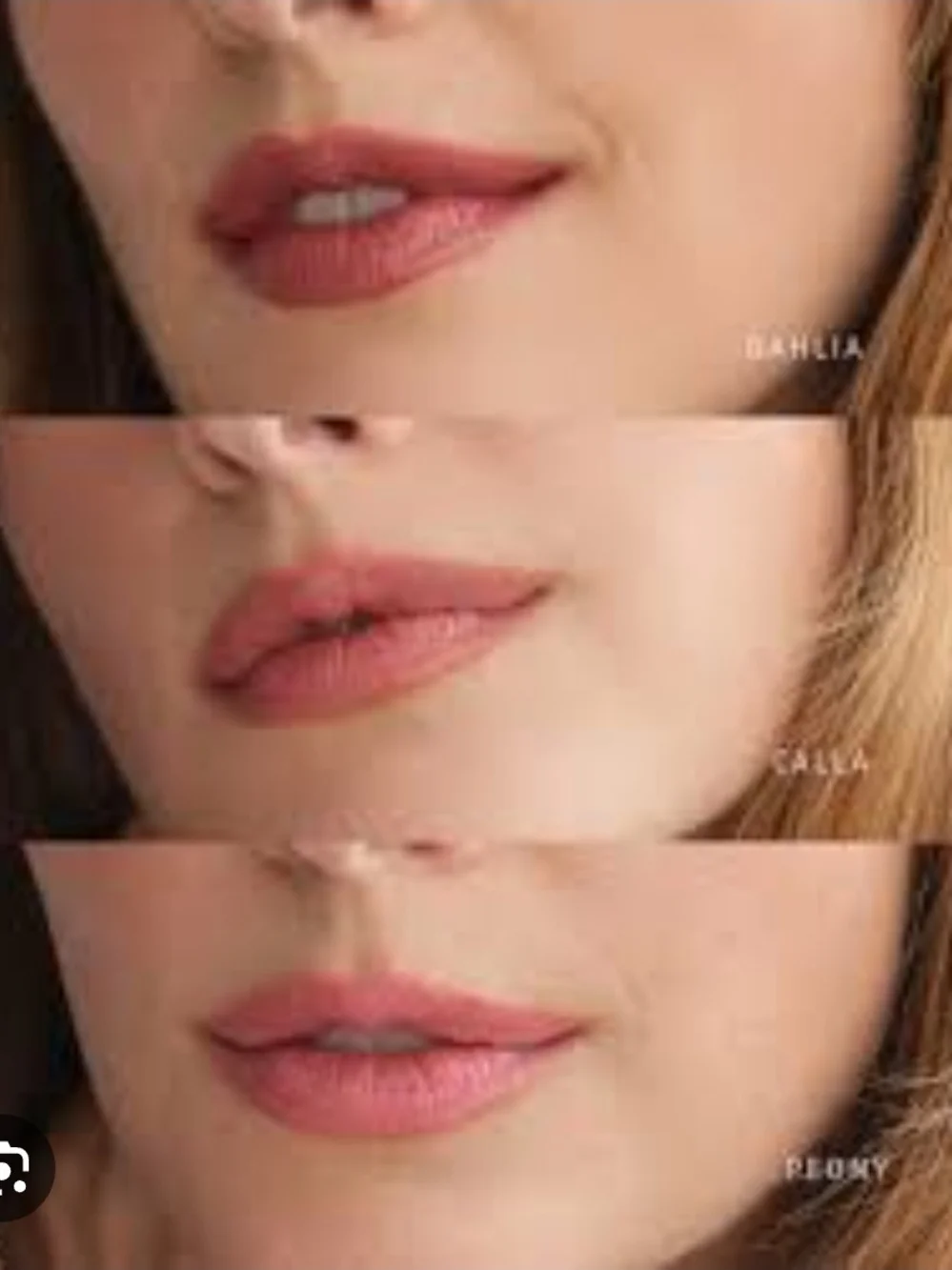 Lithe Beauty lithe beauty